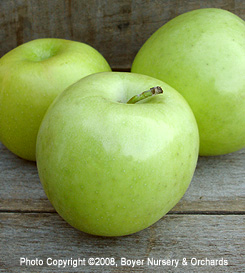 CRISPIN/MUTSU - EMLA106